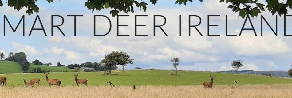 Smartdeer Ireland heading